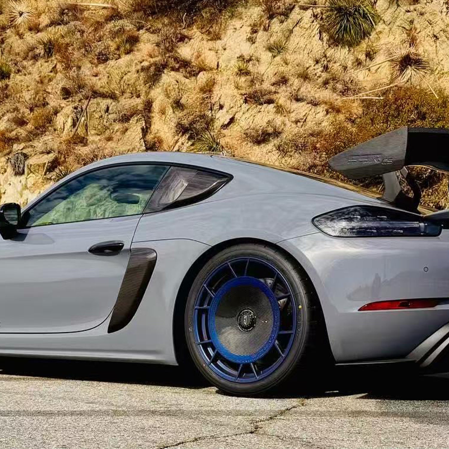 ポルシェ GT4RS FEV 消火器 2.0 Kg ドライパウダー SR ドライカーボン